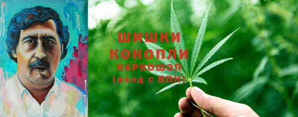 прущий лед Козловка