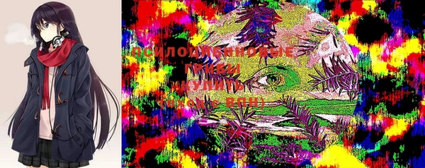 метадон Кодинск