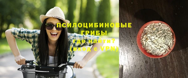 прущий лед Козловка
