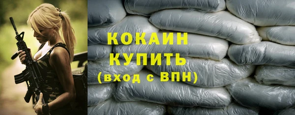 прущий лед Козловка