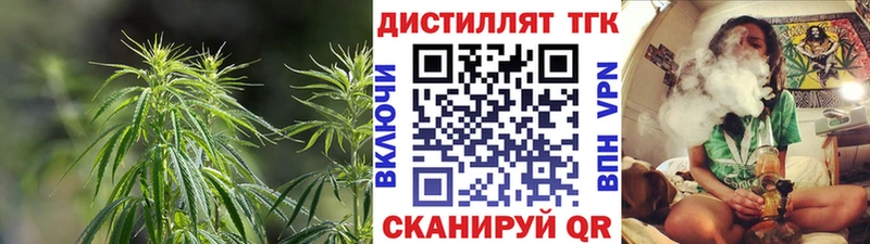 Купить  Козловка  ТГК Wax 